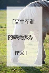高中军训的感受优秀作文