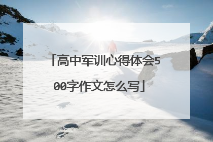 高中军训心得体会500字作文怎么写