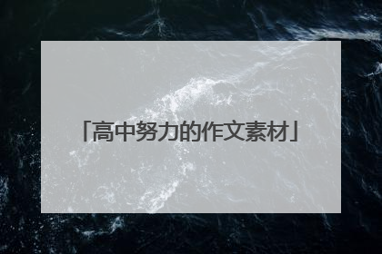 高中努力的作文素材