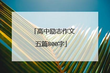 高中励志作文五篇800字