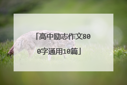 高中励志作文800字通用10篇