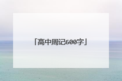 高中周记600字