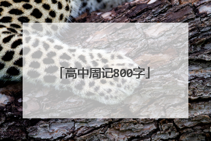 高中周记800字