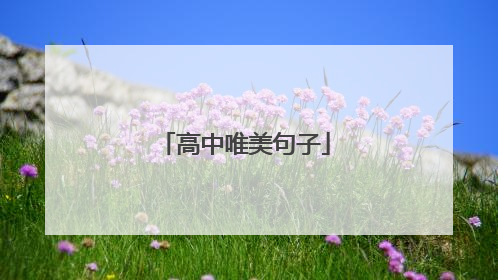 高中唯美句子