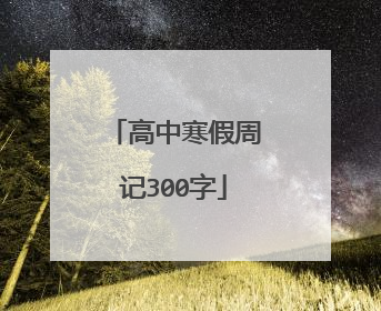 高中寒假周记300字