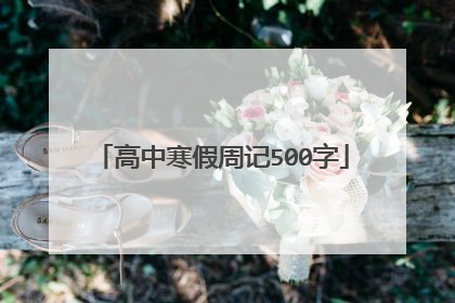 高中寒假周记500字