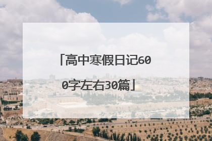高中寒假日记600字左右30篇