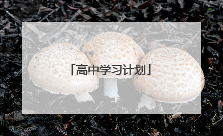 高中学习计划