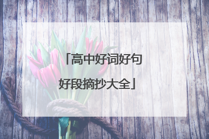 高中好词好句好段摘抄大全