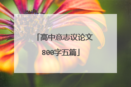 高中意志议论文800字五篇