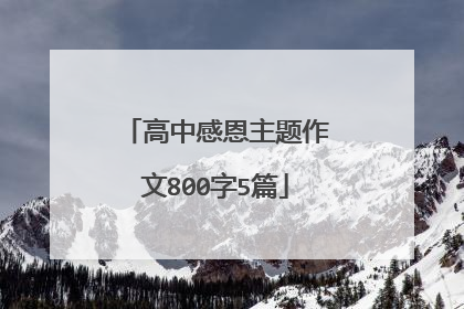 高中感恩主题作文800字5篇