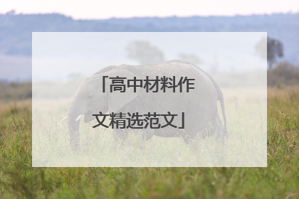 高中材料作文精选范文