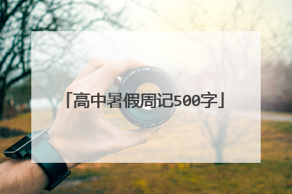 高中暑假周记500字