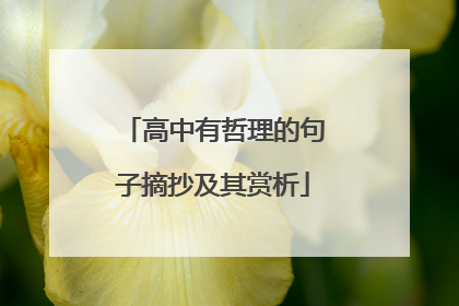 高中有哲理的句子摘抄及其赏析