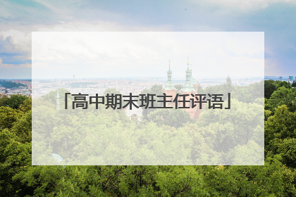 高中期末班主任评语