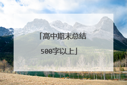 高中期末总结500字以上