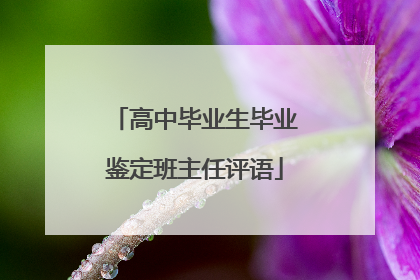 高中毕业生毕业鉴定班主任评语