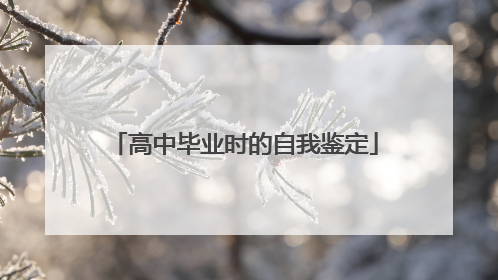 高中毕业时的自我鉴定