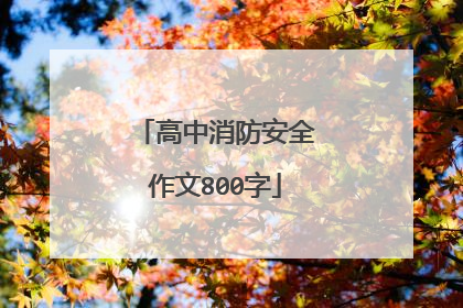 高中消防安全作文800字