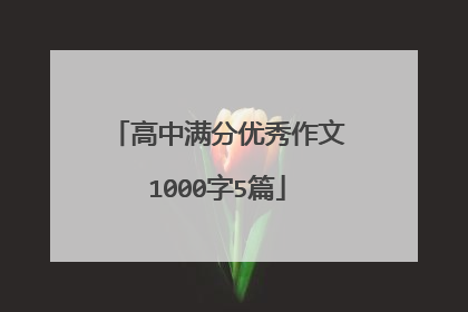 高中满分优秀作文1000字5篇