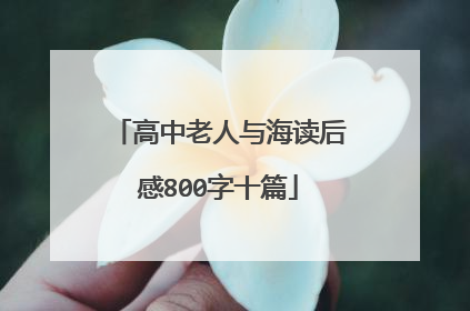 高中老人与海读后感800字十篇