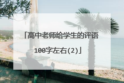 高中老师给学生的评语100字左右(2)