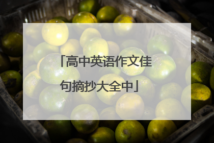 高中英语作文佳句摘抄大全中