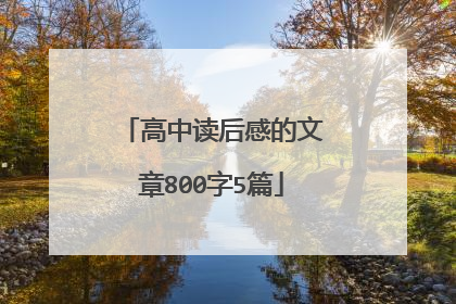 高中读后感的文章800字5篇