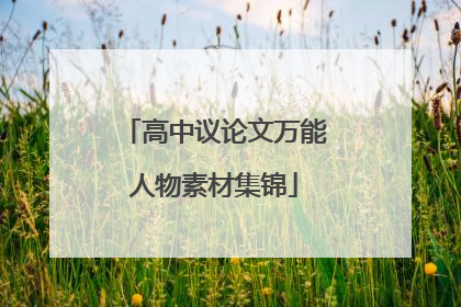 高中议论文万能人物素材集锦