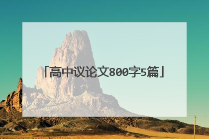 高中议论文800字5篇