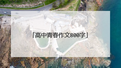 高中青春作文800字