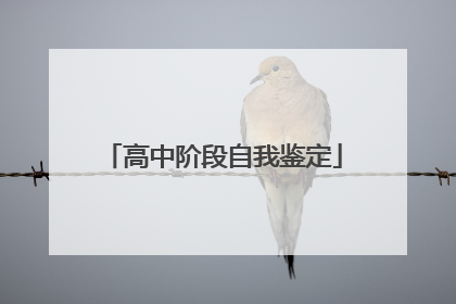 高中阶段自我鉴定
