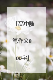 高中随笔作文800字