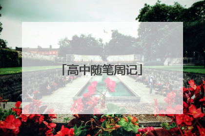 高中随笔周记