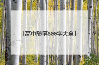 高中随笔600字大全