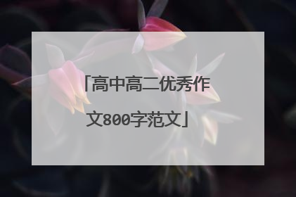 高中高二优秀作文800字范文