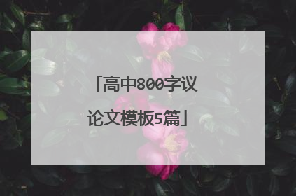 高中800字议论文模板5篇