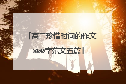 高二珍惜时间的作文800字范文五篇