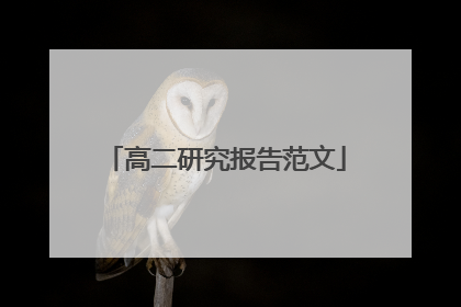 高二研究报告范文