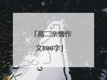 高二亲情作文800字