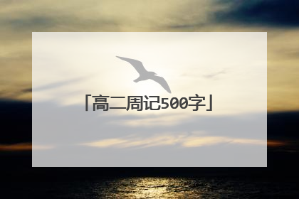 高二周记500字