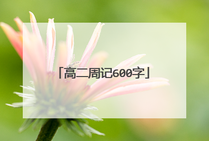 高二周记600字