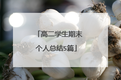 高二学生期末个人总结5篇
