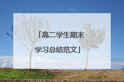 高二学生期末学习总结范文
