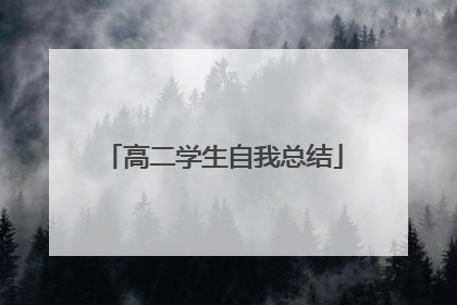 高二学生自我总结
