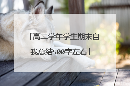 高二学年学生期末自我总结500字左右