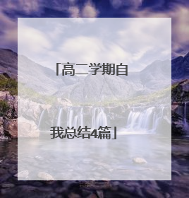 高二学期自我总结4篇