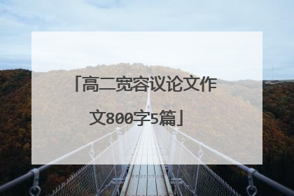 高二宽容议论文作文800字5篇