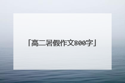 高二暑假作文800字
