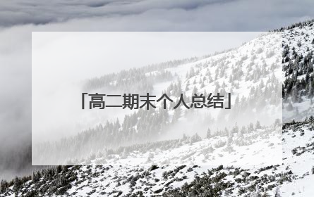 高二期末个人总结